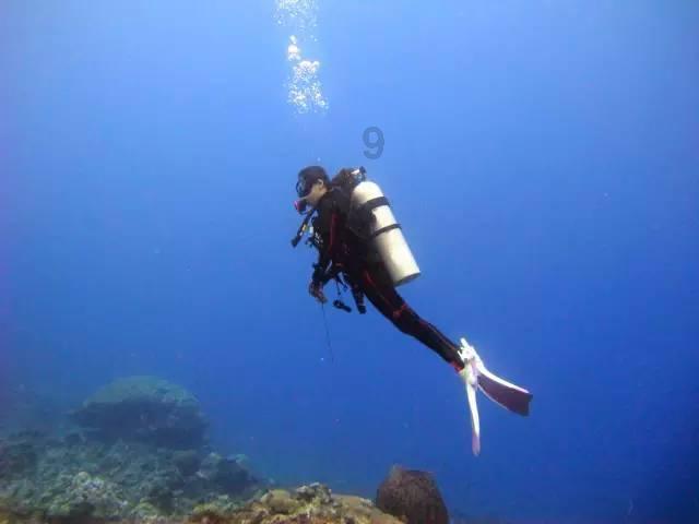 浪漫衣裙